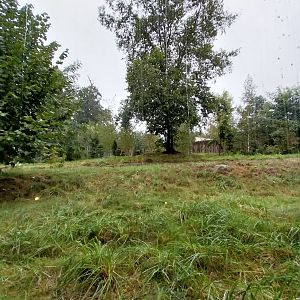 European faune - Wolf's den