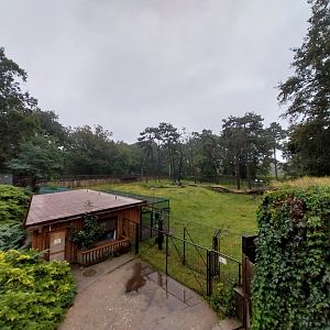 European faune - Barbary macaque enclosure