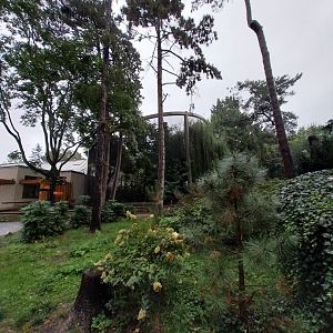 Birdhouse - Steller's sea eagle aviary