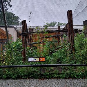 Birdhouse - Palawan hornbill aviary