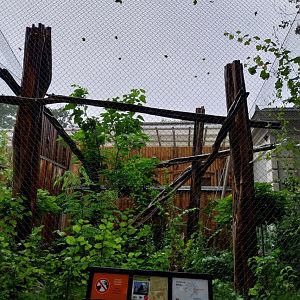 Birdhouse - Black hornbill aviary