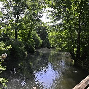 Wetlands - Landscape