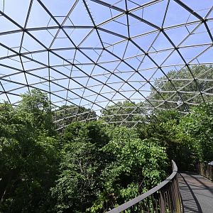 Aviary - View from the Elevated Path