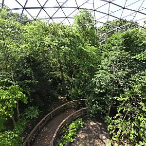 Aviary - View from the Elevated Path