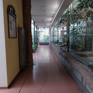 Birdhouse - General view