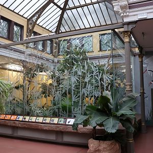 Birdhouse - rightwinged aviary (Southeast Asia)