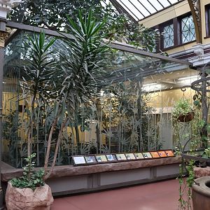 Birdhouse - Central aviary (South America)