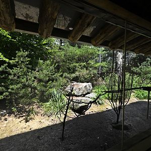 Central/South America - Desert Bird Exhibit
