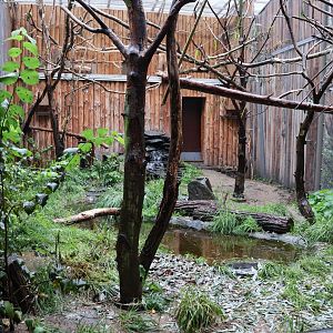 Birdhouse - Parakeet aviary