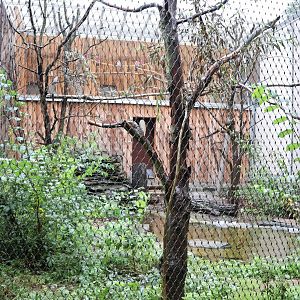Birdhouse - Kakadu aviary