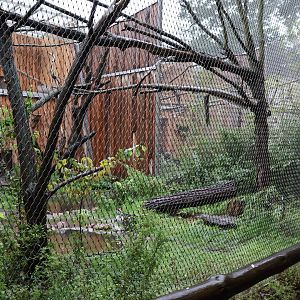Birdhouse - Macaw aviary