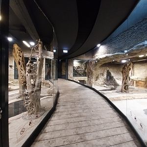 Reptile House - Komodo dragon enclosures