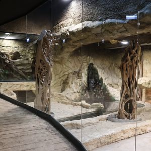 Reptile house - Komodo dragon (left) enclosure