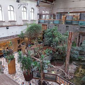 Reptile House - General view from top floor