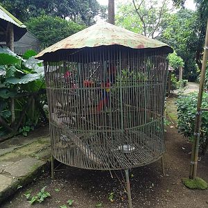 Zoológico Nacional de Nicaragua: Scarlet macaw cage