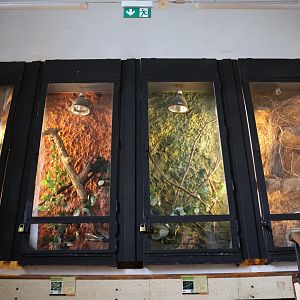 Reptile House - Even the stairwell is filled with terrariums
