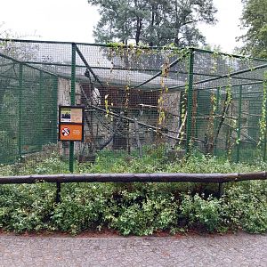 Monkey Rotunda - Crested black macaque enclosure