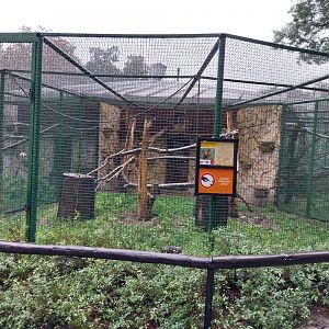 Monkey Rotunda - Golden-bellied capuchin enclosure