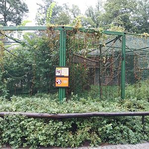 Monkey Rotunda - Lar gibbon enclosure
