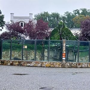 Monkey House- Crested black macaque / Black howler monkey enclosure