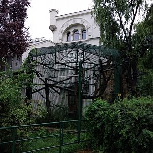 Monkey House - Black howler monkey enclosure