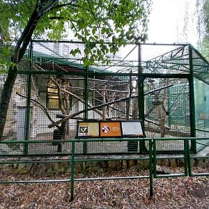 Monkey House - L'hoest guenon enclosure