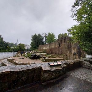 Oliva baboon enclosure