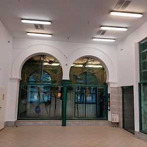 Monkey House - Tanzanian black-and-white colobus indoors