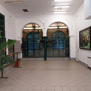 Monkey House - L'Hoest guenon (left) and Black howler monkey (right) indoors