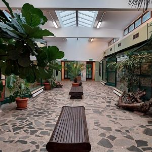 Monkey House interior