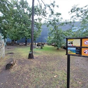Galapagos giant tortoise enclosure