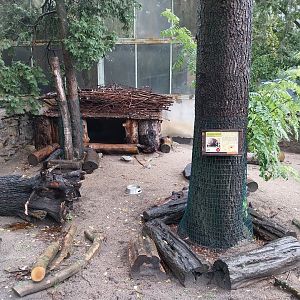 Indian crested porcupine enclosure