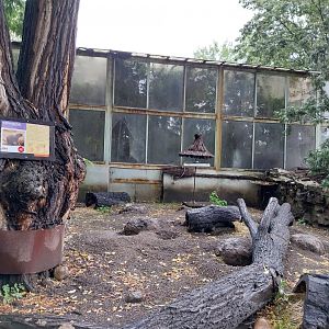Black-tailed prairie dog enclosure