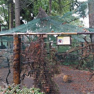 Sumatran Prevost' squirrel enclosure