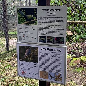 Bird signage - Grey Hipolius, Hamerton, UK