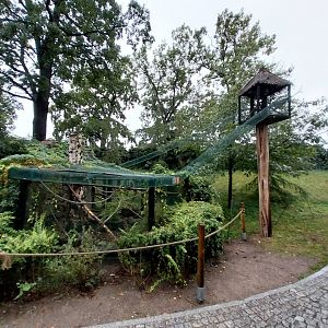 Swinhoe's striped squirrel aviary