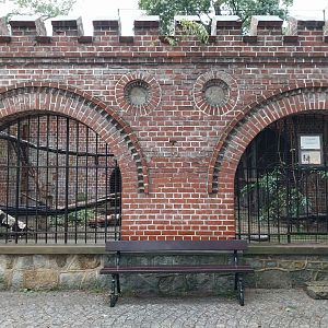 Bear Fortress - Owl aviary