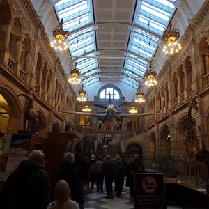 View of main animal hall (taken at Kelvingrove museum) 12.2.24