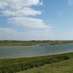 Zwin Nature Reserve - Zwin plains, 2006-07-14