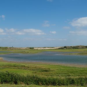 Zwin Nature Reserve - Zwin plains, 2006-07-14