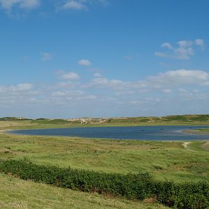 Zwin Nature Reserve - Zwin plains, 2006-07-14