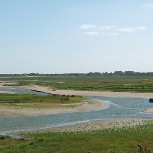 Zwin Nature Reserve - Zwin plains, 2006-07-14