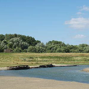 Zwin Nature Reserve - Zwin plains, 2006-07-14