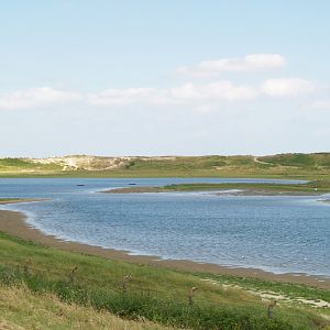 Zwin Nature Reserve - Zwin Plains, 2006-07-14