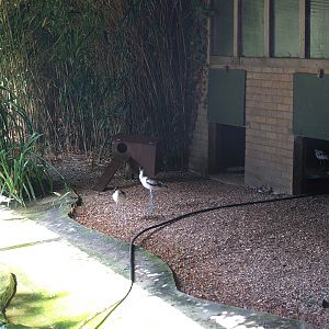 Zwin Bird Park (Now closed and demolished) - Beach area and building for pied avocets and Eurasian goldeneyes, 2006-07-14
