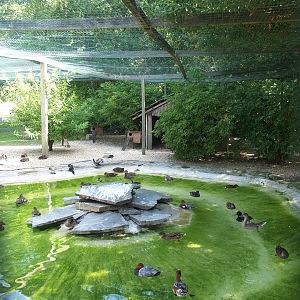 Zwin Bird Park (Now closed and demolished) - Duck and seabird aviary, 2006-07-14