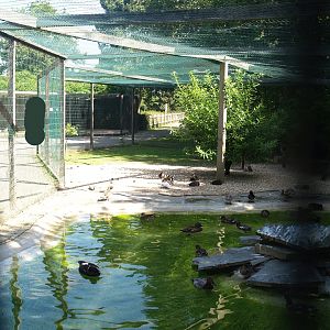 Zwin Bird Park (Now closed and demolished) - Duck and seabird aviary, 2006-07-14