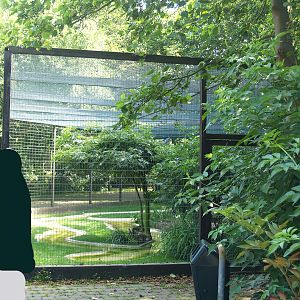 Zwin Bird Park (Now closed and demolished) - Black-crowned night heron aviary, 2006-07-14