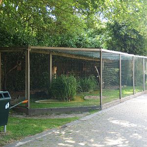Zwin Bird Park (Now closed and demolished) - Aviary, 2006-07-14