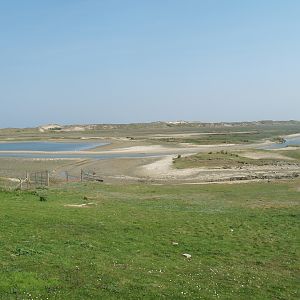 Zwin Nature Reserve - Zwin plains, 2007-04-22
